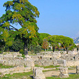 L'area archeologica di Paestum